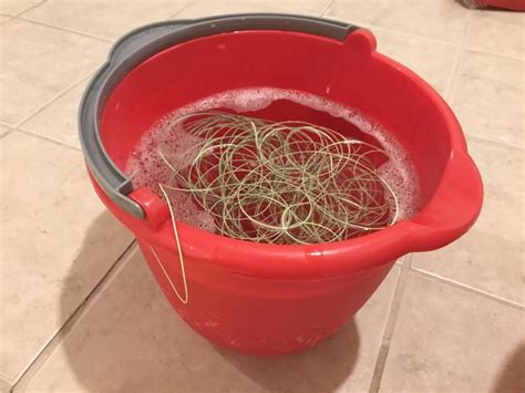 How To Clean A Fly Line | Cleanestor