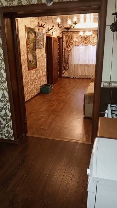 В Сибири дождь, дикие белки мокрые. Карта на корм животным 2202 2062 ...