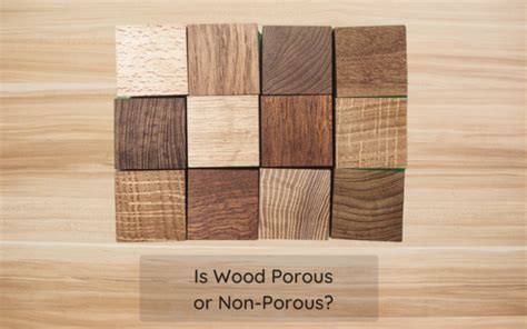 wood porous   porous  structure types