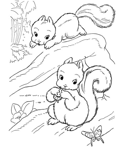 Acorn Coloring Pages For Kids - Coloring Home