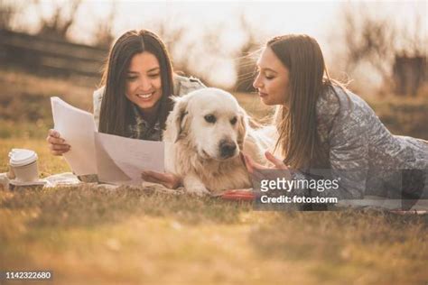 8,324 Docile Person Stock Photos, High-Res Pictures, and Images - Getty ...