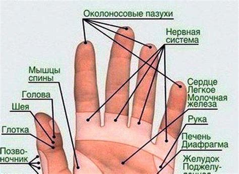 Волшебный массаж пальцев руки