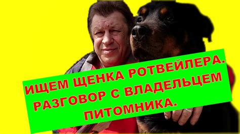 ИЩЕМ НОВОГО ЩЕНКА РОТВЕЙЛЕРА. РАЗГОВОР С ВЛАДЕЛЬЦЕМ ПИТОМНИКА. - YouTube
