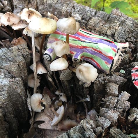 SCULPTURE - Beth Humphrey Art