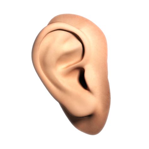 Ухо PNG