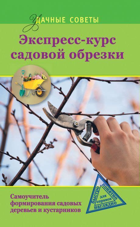 Сад и огород | Огород, Сад, Фруктовые деревья