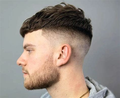 About the French Crop - Barber Owl
