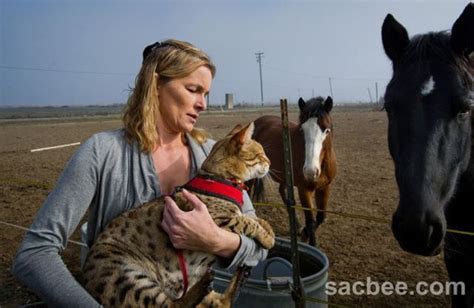 Funny Cool Pictures: The Tallest Cat in the World