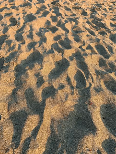 Jelena Jensen Photos, Download The BEST Free Jelena Jensen Stock Photos