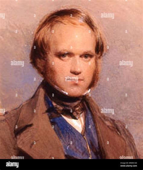 charles darwin portrait   res stock photography  images alamy