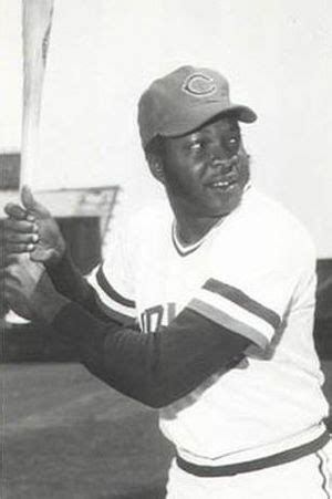 roy foster baseball  kids