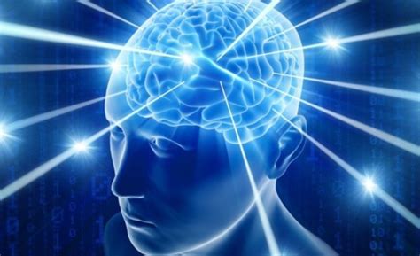 How Meditation Rewires Your Brain | SikhNet