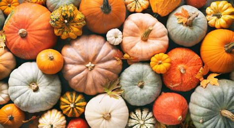 13 Different Pumpkin Colors and Their Meaning - Parade