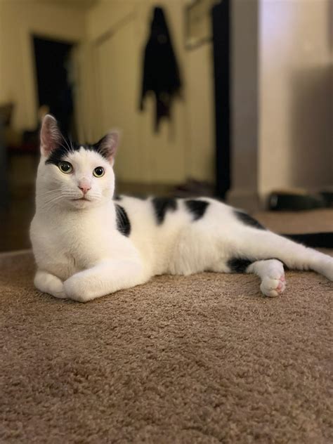 This is Nigel Thornberry, his journey came to an end today. Thank you