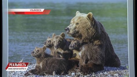 ДИКАЯ ПРИРОДА РОССИИ - YouTube