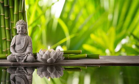 Mastering the Five Elements of Feng Shui in Your Home