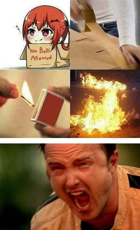 No Bulli allowed | Aaron Paul Screaming | Know Your Meme