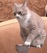 waiting eat meme