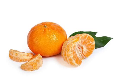 Mandalina – Agrohil