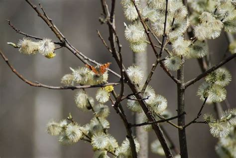 Картинки по запросу весна окно | Художественная фотография, Весна ...