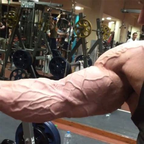 6 Steps To Unveiling The Hidden Patterns: Revealing Your Bicep Veins