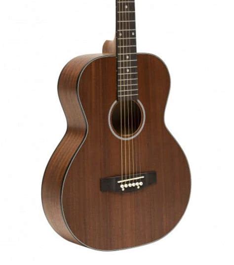 Stagg Acoustic Guitar: An In-depth Review and User Perspective ...