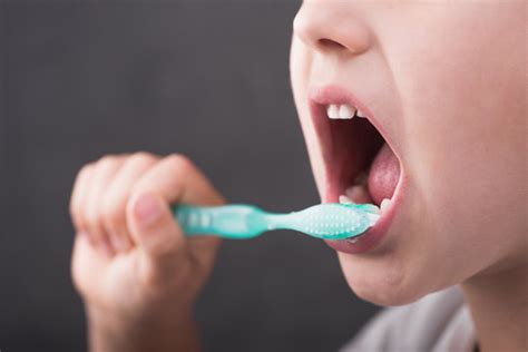 brushing images browse  stock  vectors  video