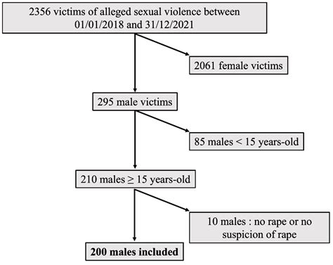 Male Victims of Rape: An Observational Study over Four Years in Paris
