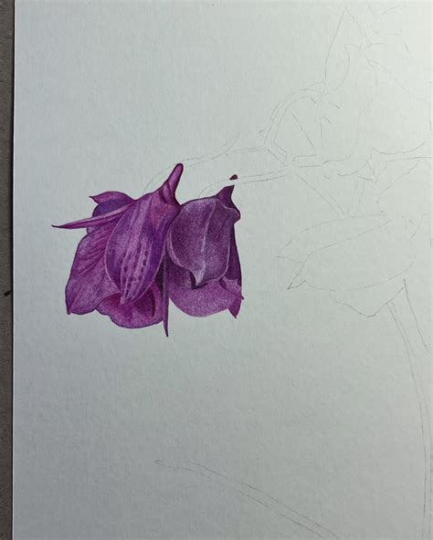 Joanna Thomas💚 Botanical Artist (@joannathomas_art) • Instagram photos