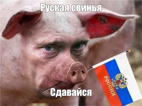 Мем: "Руская свинья Сдавайся" - Все шаблоны - Meme-arsenal.com