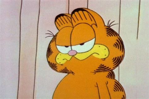 Garfild (Garfield and Friends) - Serije - mojtv.net