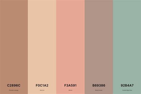 25+ Best Terracotta Color Palettes with Names and Hex Codes in 2024 ...