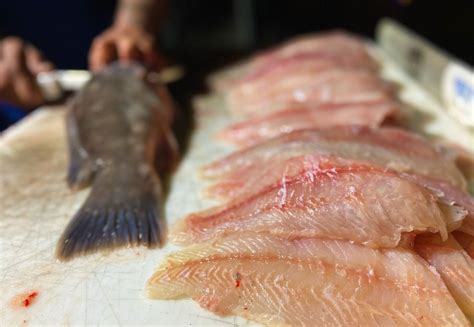 How to Fillet a Fish | Outdoor Life
