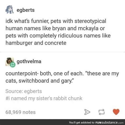 Pet names - FunSubstance