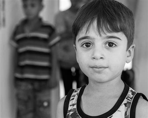 Displaced on Behance