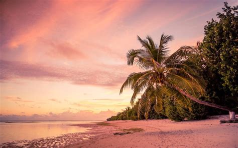 Головокружительные пляжи на картинках новой темы для Windows 10 "Beach ...