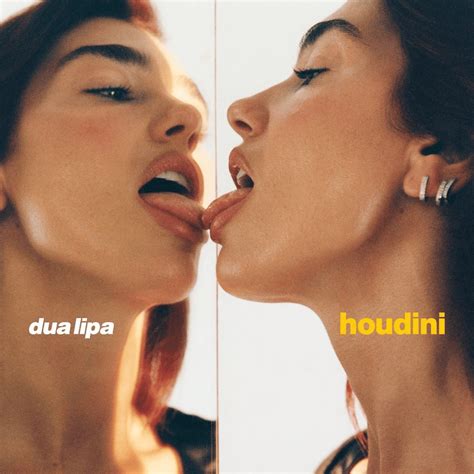 Houdini (Tradução em Português) – Dua Lipa | Genius Lyrics