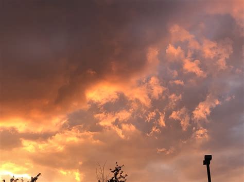 Locals are thanking mourning glory saskatoon for their recent help 1