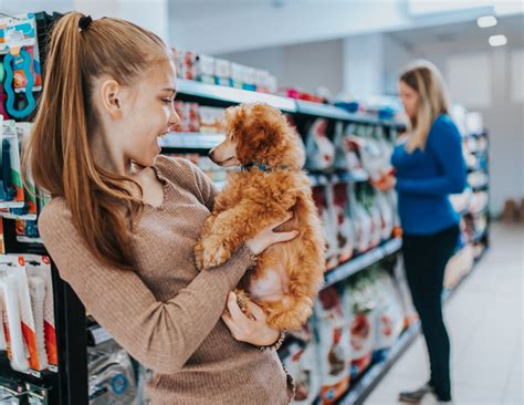Ultimate Guide to Setting Up a Pet Shop in Ireland
