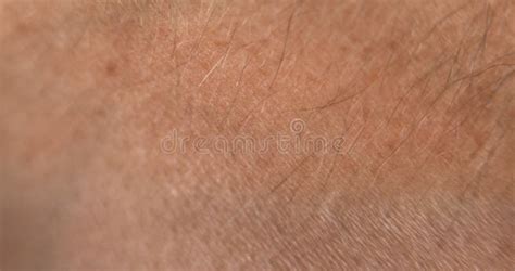hand skin texture close  arm surface macro shooting body