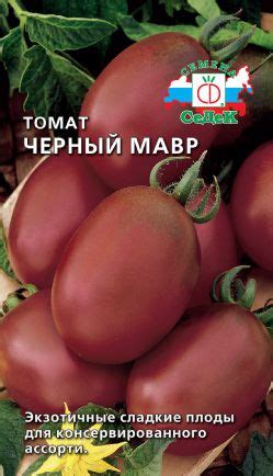 Томат Черный мавр (описание сорта, выращивание и отзывы)