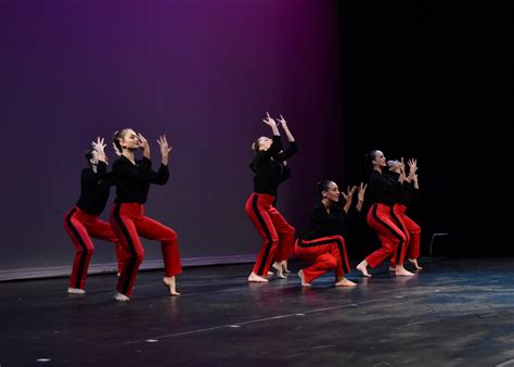Overview — Suncoast Academy of Dance