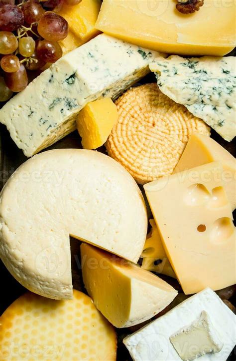cheese types stock  images  backgrounds