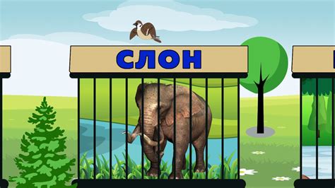 Где обедал воробей, в зоопарке у зверей - YouTube