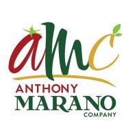 anthony marano company linkedin