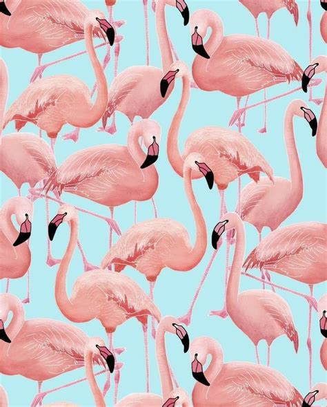 Pin by Sanuel L on wallpapers | Flamingo, Flamingo wallpaper, Flamingo art