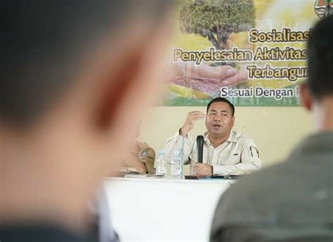 opsi legal masyarakat  manfaatkan kawasan hutan  penjelasan