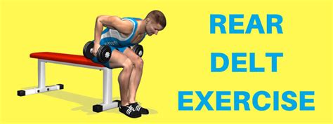 Rear Dealt Exercises how you can peform these exercises accurately?