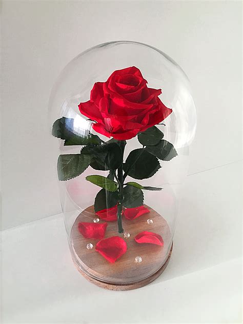 Роскошная стабилизированная Роза в колбе. | Bursdagsgaver, Rose, Romantisk