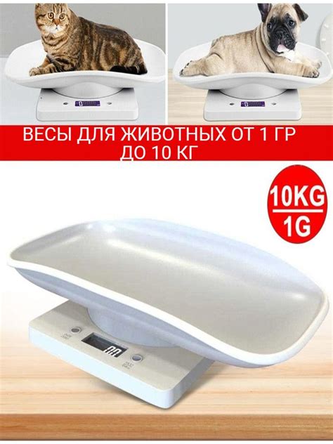 Весы электронные, настольные, точные, граммовые, бытовые для животных ...
